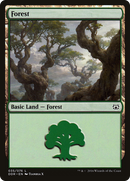 Forest (DDR-035) [Duel Decks: Nissa vs. Ob Nixilis]