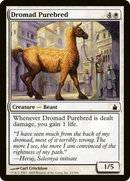 Dromad Purebred (RAV-015) [Ravnica: City of Guilds]