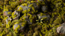 GamersGrass: Moss (2mm) (New)