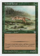 Trained Jackal (PTK-155) [Portal Three Kingdoms]