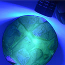 AK8290: Transparent UV Resin Water