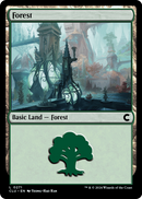 Forest (CLU-271) [Ravnica: Clue Edition]