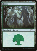Forest (SLD-572) [Secret Lair Drop] Foil