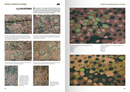 AK Interactive: Waffen-ss Camouflage Uniforms (English)
