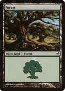 Forest (LRW-299) [Lorwyn] Foil