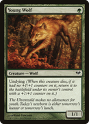 Young Wolf (DKA-134) [Dark Ascension] Foil