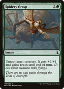 Spidery Grasp (AKH-188) [Amonkhet]