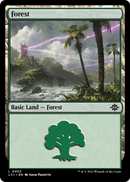 Forest (LCI-402) [The Lost Caverns of Ixalan]