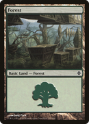 Forest (ROE-245) [Rise of the Eldrazi] Foil