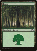 Forest (DD3-030) (Elves vs Goblins) [Duel Decks Anthology: Elves vs. Goblins]