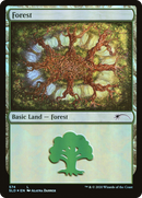 Forest (SLD-574) [Secret Lair Drop] Foil