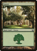 Forest (RTR-271) [Return to Ravnica] Foil