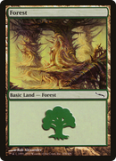 Forest (MRD-304) [Mirrodin]