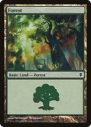 Forest (ZEN-248A) [Zendikar]