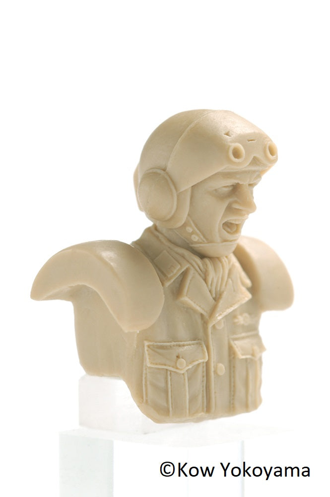 Maschinen Krieger: Stral Army Male Pilot Bust (A) 1/20