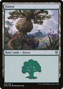Forest (DMU-275) [Dominaria United]