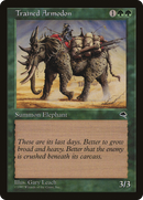 Trained Armodon (TMP-260) [Tempest]