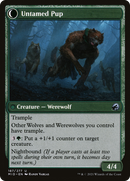 Hound Tamer (MID-187) [Innistrad: Midnight Hunt]