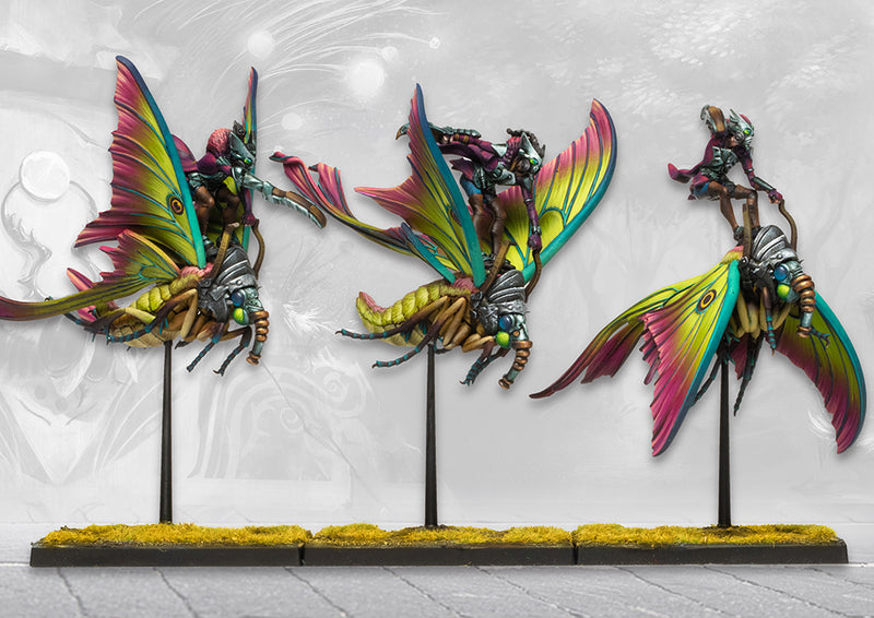 Weaver Courts: Sciathan Riders/Ciannir Riders