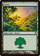 Forest (DDH-039) [Duel Decks: Ajani vs. Nicol Bolas]
