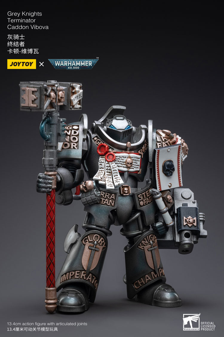 Joytoy: Grey Knights Terminator Caddon Vibova