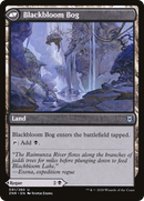 Blackbloom Rogue (ZNR-091) [Zendikar Rising]