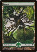Forest (249) - Full Art (ZEN-249) [Zendikar] Foil