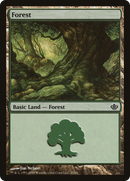 Forest (DDD-031) [Duel Decks: Garruk vs. Liliana]