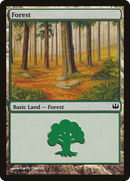 Forest (DDG-045) [Duel Decks: Knights vs. Dragons]
