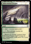 Saltcrusted Steppe (PZ1-146) [Legendary Cube Prize Pack]