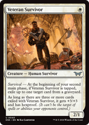 Veteran Survivor (DSK-040) [Duskmourn: House of Horror] Foil