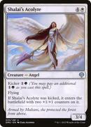 Shalai's Acolyte (DMU-033) [Dominaria United] Foil