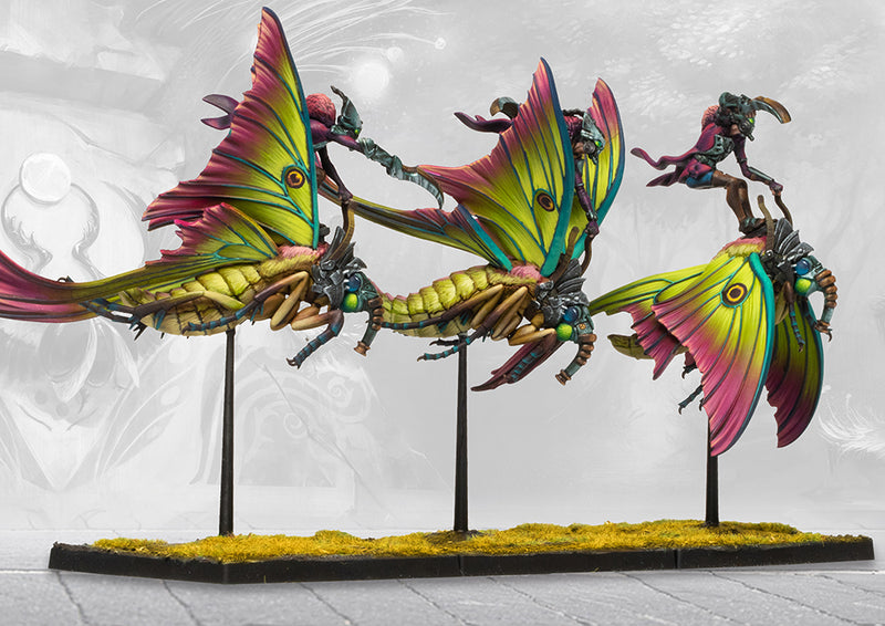 Weaver Courts: Sciathan Riders/Ciannir Riders