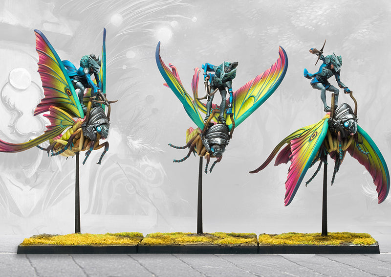 Weaver Courts: Sciathan Riders/Ciannir Riders