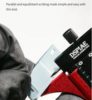 DSPIAE: Parallel Scribing Tool