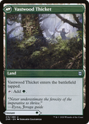 Vastwood Fortification (ZNR-216) [Zendikar Rising]