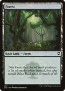 Forest (CLB-467) [Commander Legends: Battle for Baldur's Gate] Foil