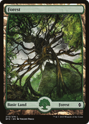 Forest (273) - Full Art (BFZ-273) [Battle for Zendikar] Foil