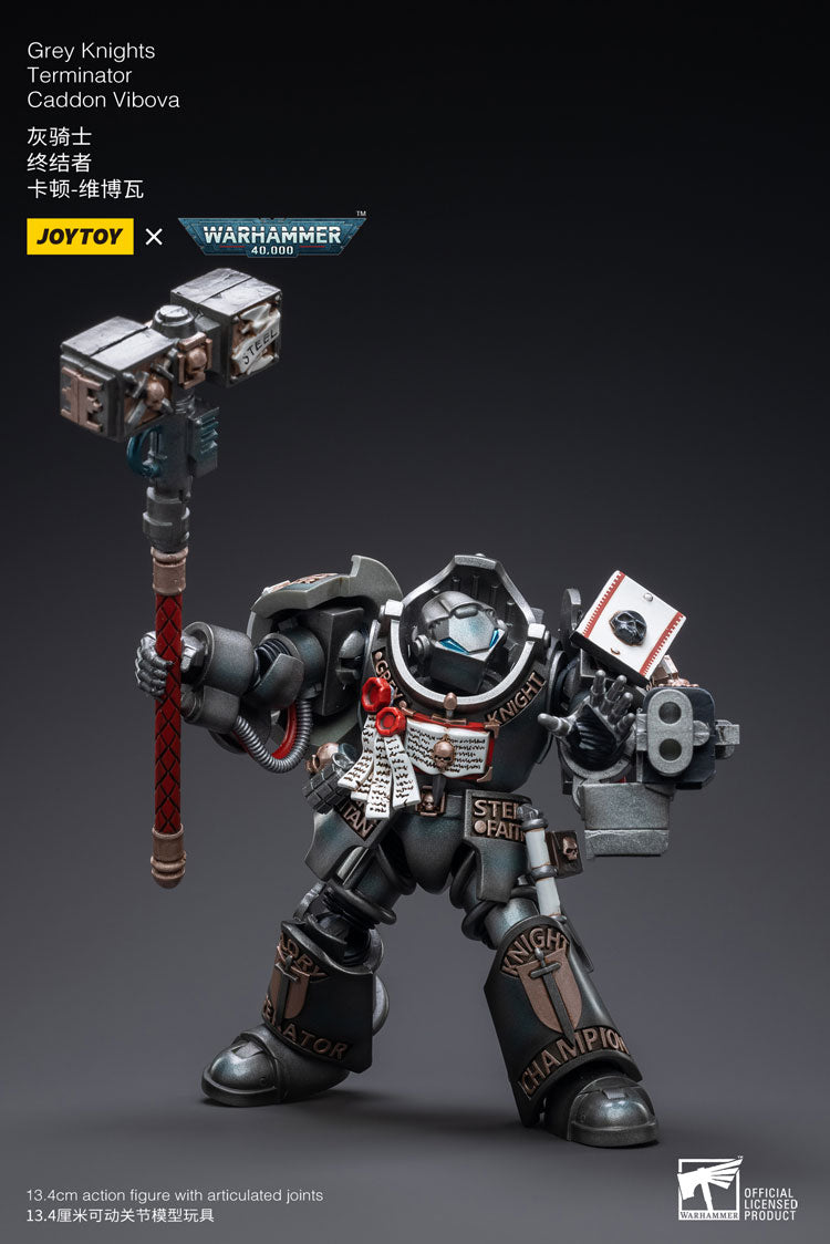 Joytoy: Grey Knights Terminator Caddon Vibova