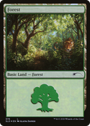Forest (SLD-576) [Secret Lair Drop] Foil