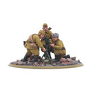 Soviet Union: Soviet Army Medium Mortar Team (2025 Ver.)