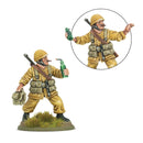 Italy: Armies of Italy with 'Desert Lightning' Book Miniature