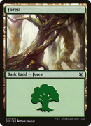 Forest (DDR-031) [Duel Decks: Nissa vs. Ob Nixilis]