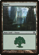 Forest (10E-383) [Tenth Edition] Foil