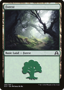 Forest (SOI-295) [Shadows over Innistrad] Foil