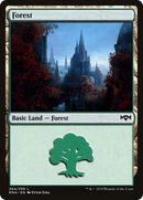 Forest (RNA-264) [Ravnica Allegiance]