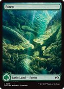 Forest (TDM-276) [Tarkir: Dragonstorm] Foil