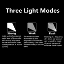 DSPIAE: UV Torch Light