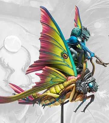 Weaver Courts: Sciathan Riders/Ciannir Riders