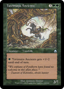 Yavimaya Ancients (ME2-190) [Masters Edition II]